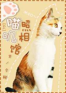 《喵叽照相馆》