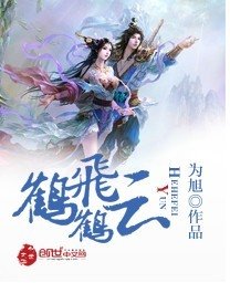 《鹤鹤飞云》