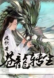 《苍龙转生》