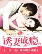 《一次一夜:顾少诱妻成瘾》