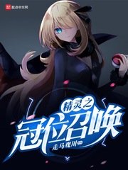 (精灵宝可梦同人)精灵之冠位召唤
