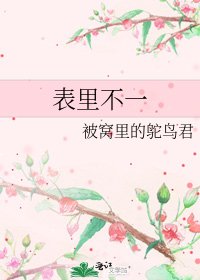 表里不一
