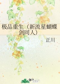 《极品重生(新流星蝴蝶剑同人)》