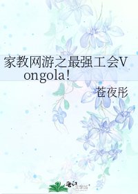 家教网游之最强工会Vongola!