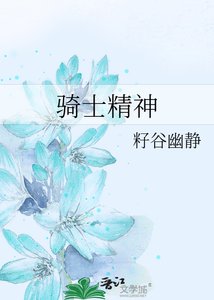《骑士精神》