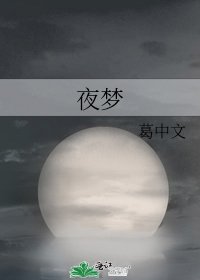 夜夢