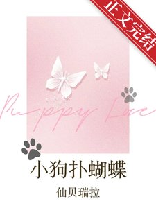 小垢扑蝴蝶