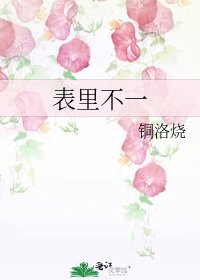表里不一
