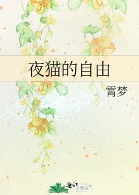 《夜猫的自由》