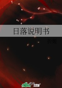 《日落说明书》